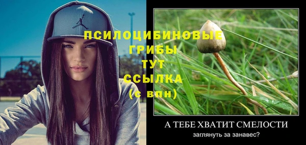 гидра Баксан