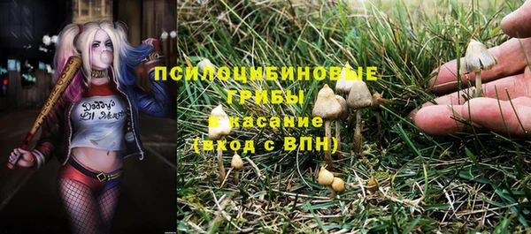 эйфоретик Белокуриха